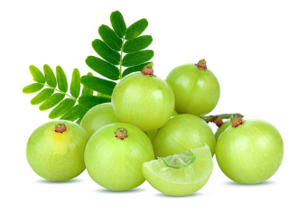 Amla  (आवळा)